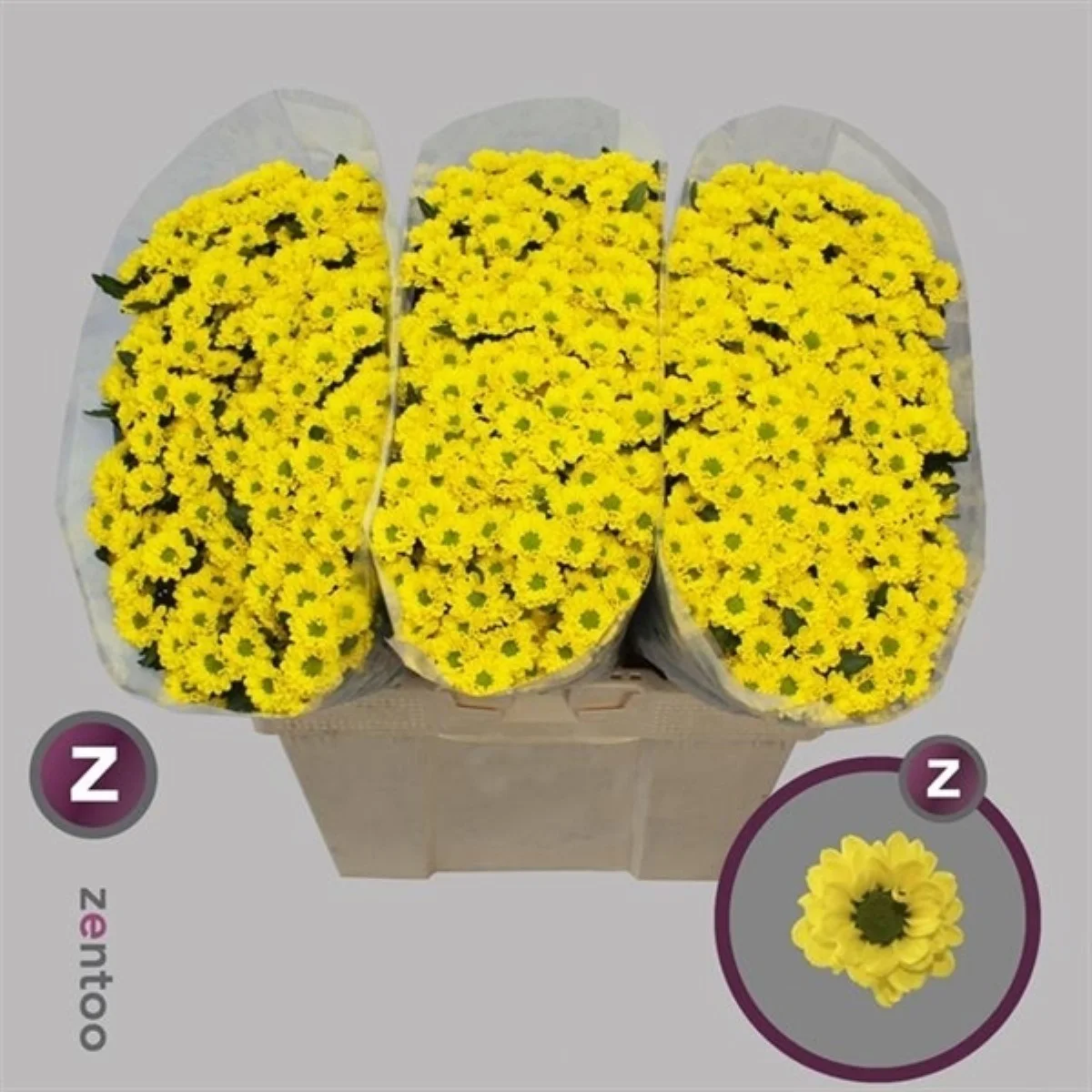 Chr S Smiley