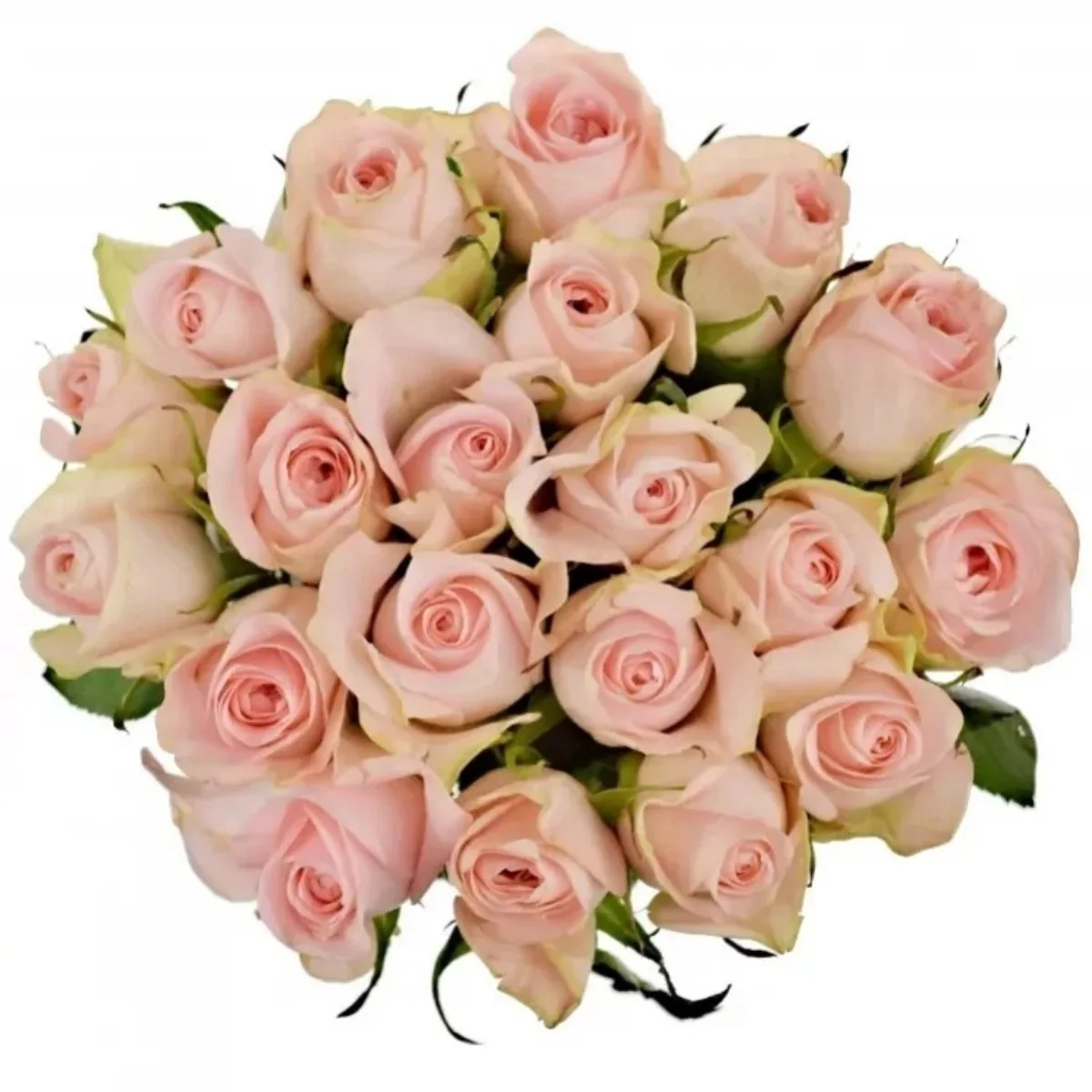 R Gr Pink Wedding